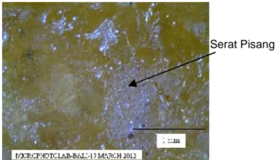 Gambar 4.12 Foto Mikro Spesimen penyerapan air dengan fraksi volume serat sisal 0% dan serat pisang 40% (0% : 40%)