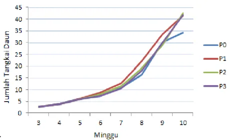 Gambar  3.  Laju  pertambahan  jumlah  tangkai  daun  tanaman  Stylosanthes  guianensis
