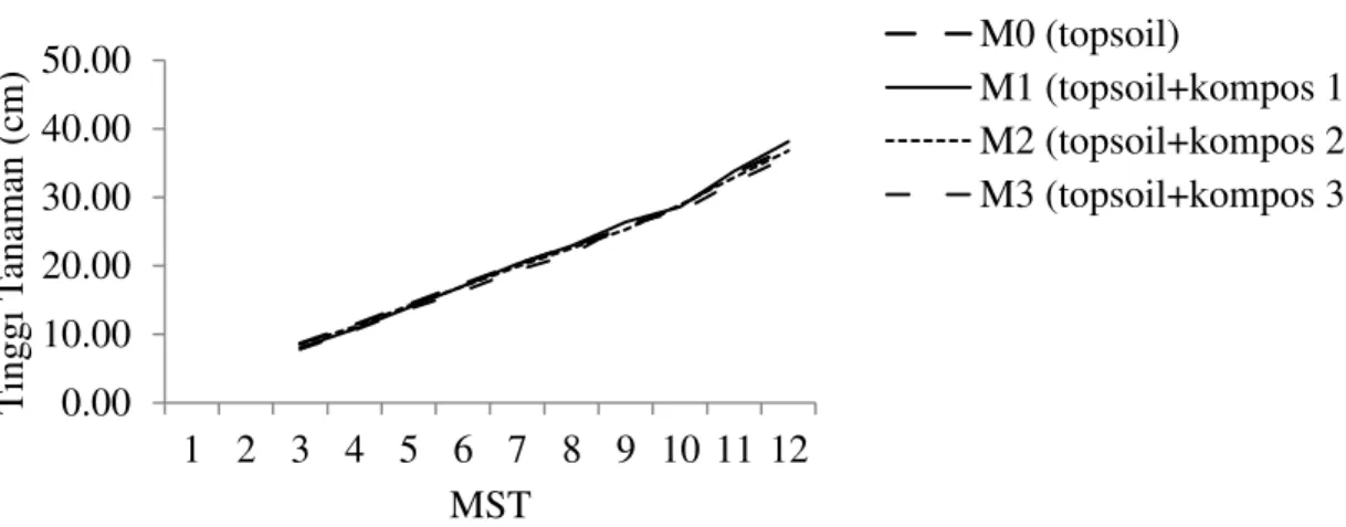 Gambar 2. Grafik perkembangan tinggi tanaman 3-12 MST dengan perlakuan perbandingan media        tanam 