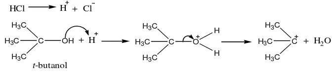 Gambar 8. Reaksi tahap pertama pembentukan t-butil klorida 