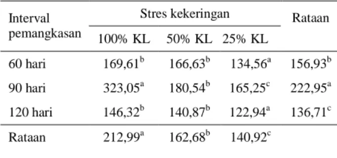 Tabel 1.  Rataan  berat  kering  tajuk  tanaman  Indigofera  zollingeriana  pada  berbagai  stres  kekeringan  dan  interval pemangkasan 
