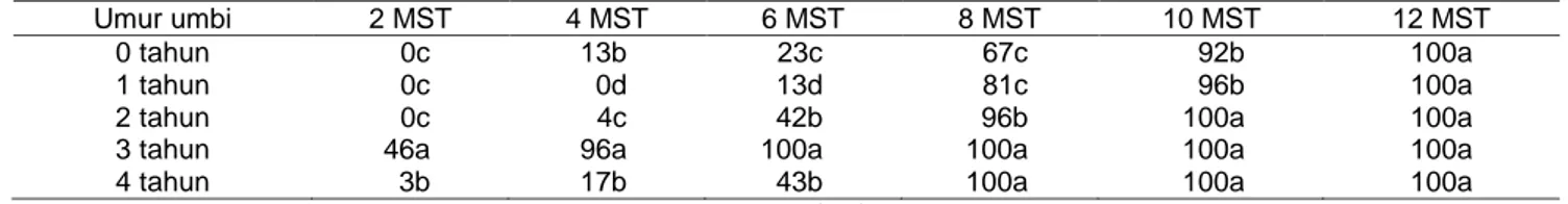 Tabel 2 Persentase tunas bunga tanaman iles-iles dari total tunas yang muncul pada berbagai umur umbi saat tanam pada  berbagai umur (minggu setelah tanam/MST) 