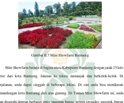 Gambar II.7 Mini Showfarm Bantaeng 