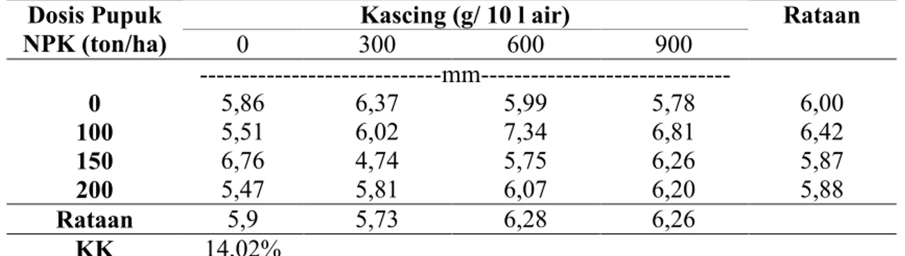 Tabel  3  memperlihatkan  bahwa  diameter  batang  bawang  putih  akibat  pemberian  NPK  dan  pupuk  kascing  berkisar  antara  4,74  mm  sampai  7,34  mm