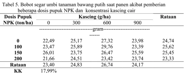 Tabel 5. Bobot segar umbi tanaman bawang putih saat panen akibat pemberian   beberapa dosis pupuk NPK dan  konsentrasi kascing cair 