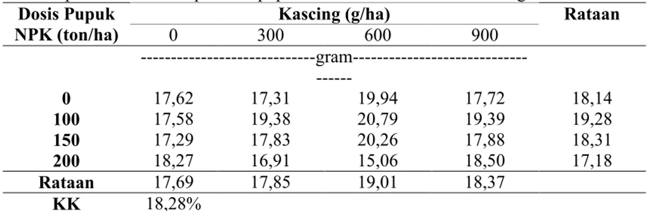 Tabel  8.  menjelaskan  bahwa  pemberian  pupuk  NPK  dan  kascing  belum  mampu  meningkatkan  hasil  umbi  bawang  putih