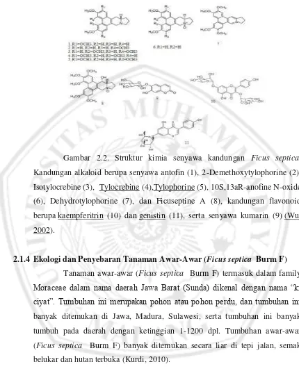 Gambar 2.2. Struktur kimia senyawa kandungan Ficus septica. 