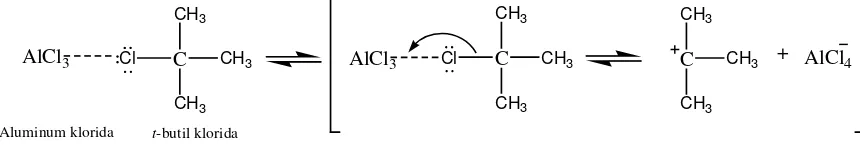 Gambar 11. Reaksi AlCl3 dengan t-butil klorida ketika larutan didiamkan semalam 