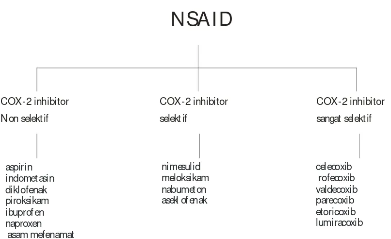 Gambar 3. Klasifikasi obat NSAID (Derle dkk, 2006) 