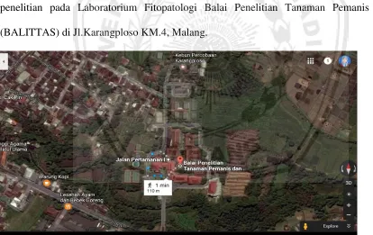Tabel 3.2 Denah Rancangan Acak Lengkap  