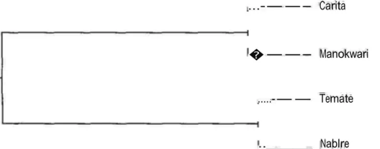 Gambar  1.  Dendrogram hubungan kekerabatan antara 4 populasi Merbau berdasarkan jarak genetik  Nei's  (1972) 