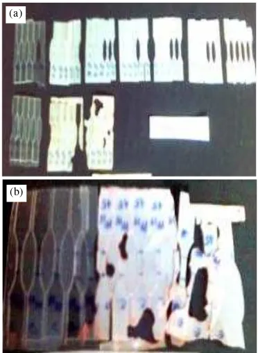 Gambar 9.komposit PP35-T dengan waktu pendam selama Foto hasil uji biodegradabilitas polimer(a)