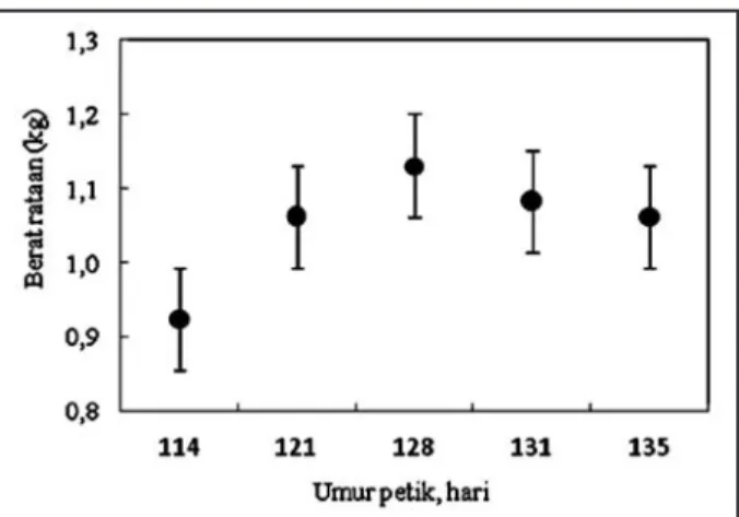 Gambar 1 menunjukkan berat rata-rata sampel  buah pepaya yang digunakan untuk masing-masing  umur  petik