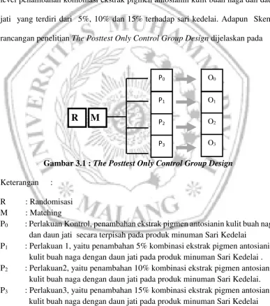 Gambar 3.1 : The Posttest Only Control Group Design  
