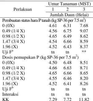 Tabel  3.  Rata-rata  jumlah  daun  pada  pembuatan  status hara P tanah dan dosis pemupukan P 