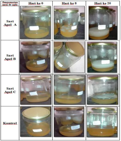 Gambar 1. menunjukkan proses pembentukan  nata  dari  hari  ke  hari.  Pada  hari  ke  0  terlihat  pada  botol  kaca  belum  terbentuk  pelikel  lapisan  nata  pada  semua  sari  Apel