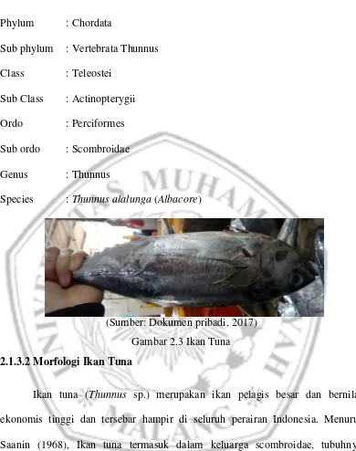 Gambar 2.3 Ikan Tuna  
