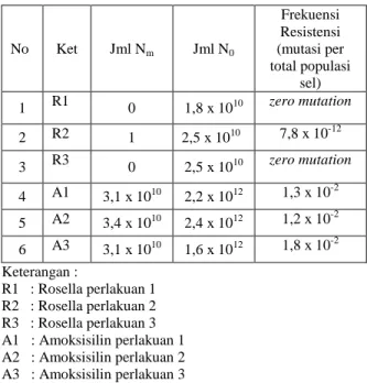 Tabel  2.  Hasil  Frekuensi  Resisensi  bakteri  Enterococcus  faecalis  terhadap  dekok  Rosella  dan  Amoksisilin