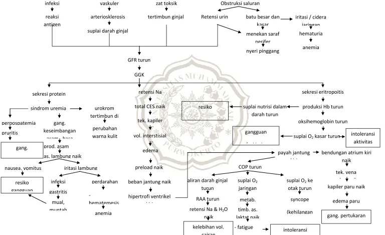 Gambar 2.3 pathways 