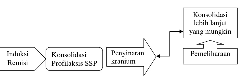 Tabel II. Obat-obat yang digunakan dalam pengobatan leukemia(Hoffbrand and Pettit, 1996)