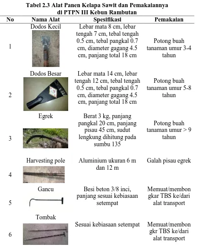 Tabel 2.3 Alat Panen Kelapa Sawit dan Pemakaiannya  di PTPN III Kebun Rambutan 