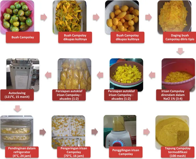 Gambar 1. Produksi tepung Campolay modifikasi dengan siklus pemanasan bertekanan-pendinginan  Analisis kadar total pati  