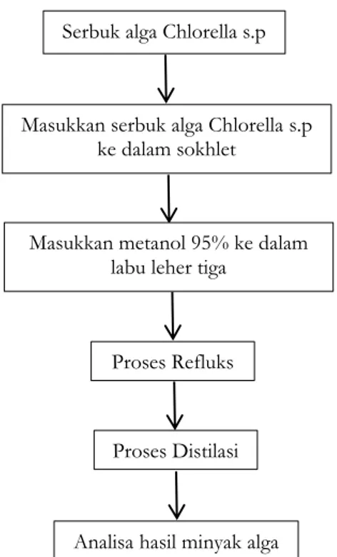 Gambar 1. Diagram alir Proses Ekstraksi  Minyak dari Alga  Chlorella.sp