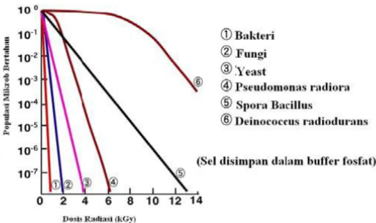 Gambar 4. Efektivitas berbagai dosis radiasi  sinar Gamma untuk membunuh  mikroba (Kume, 2005)