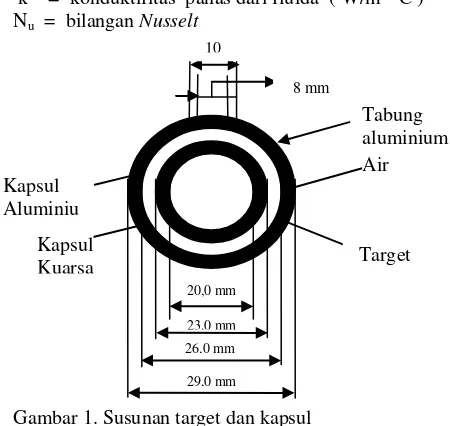 Gambar 1. Susunan target dan kapsul 