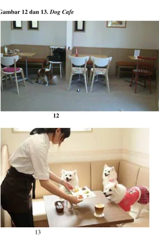 Gambar 12 dan 13. Dog Cafe 