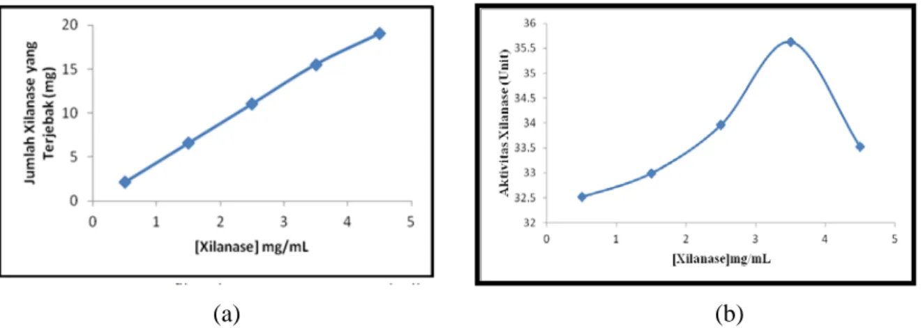 Gambar  2. (a) Grafik hubungan antara konsentrasi xilanase terhadap jumlah xilanase yang  terjebak (b) Grafik hubungan antara konsentrasi xilanase terhadap aktivitas xilanase amobil  