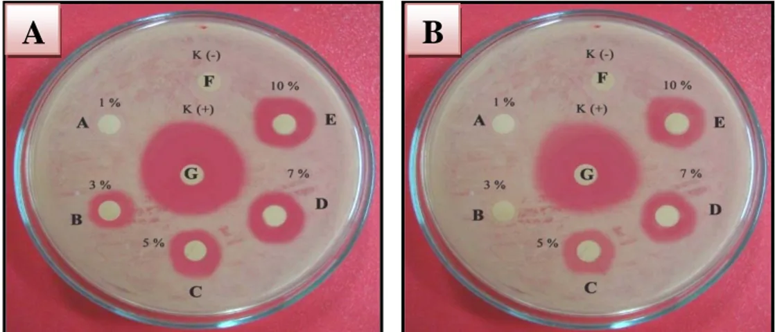 Gambar 15. Diameter zona hambatan dari ekstrak cacing biru Perionyx excavatus  terhadap pertumbuhan Salmonella thypi pada masa inkubasi (A) 1 X 24 jam dan (B) 2 X 