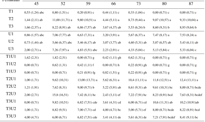 Tabel 3. Pengaruh jumlah larva lalat buah ( Bactrocera spp.) dalam buah tomat terserang pada 45,  52, 59, 66, 73, 80, dan 87 hst