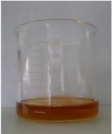 Gambar 3. minyak hasil degumming  C. Transesterifikasi  