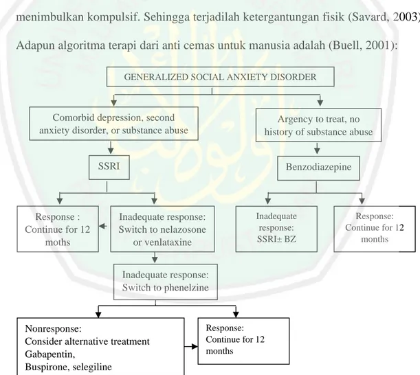 Gambar 2.7 Algoritma Terapi Anti Cemas untuk Manusia (Buell, 2001) 