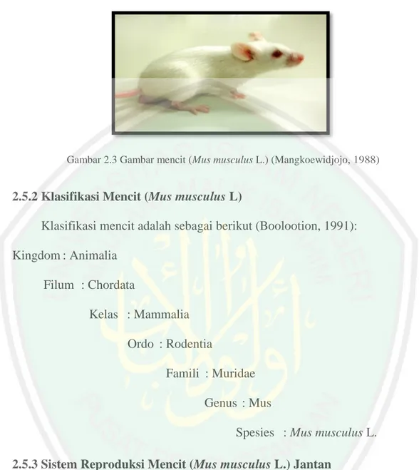 Gambar 2.3 Gambar mencit (Mus musculus L.) (Mangkoewidjojo, 1988) 
