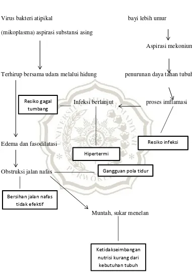 Gambar 2.2 pathways ISPA menurut (Wong’s et al 2001) 