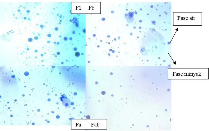 Gambar 15. Penentuan tipe emulsi menggunakan methylene blue (perbesaran 100X) 