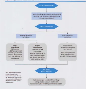 Gambar 1. Algoritma Penatalaksanaan Hipertensi Menurut JNC VII 