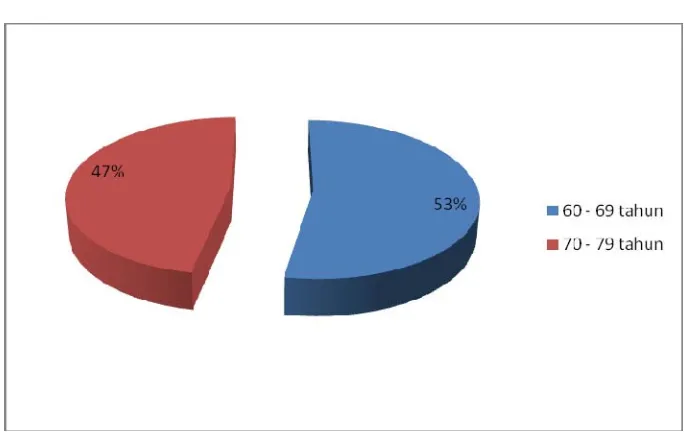 Gambar 3. Persentase Jumlah Pasien Berdasarkan Usia 