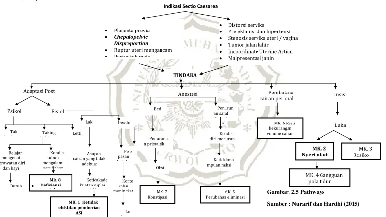 Gambar. 2.5 Pathways  
