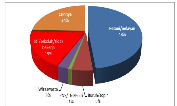 Gambar 2. Grafik Proporsi responden penelitian berdasarkan jenis pekerjaan di  Kabupaten Banyuasin tahun 2015 