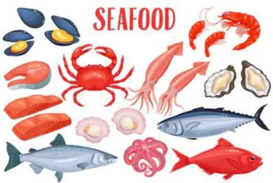 Gambar 10. Jenis makanan laut untuk mencegah  stunting 