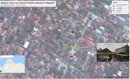Gambar 1. Peta Sebaran Tikus dan Cecurut Positif Leptospira sp. di Desa Bakaran Kulon Kecamatan Juwana Kabupaten Pati Tahun 2014