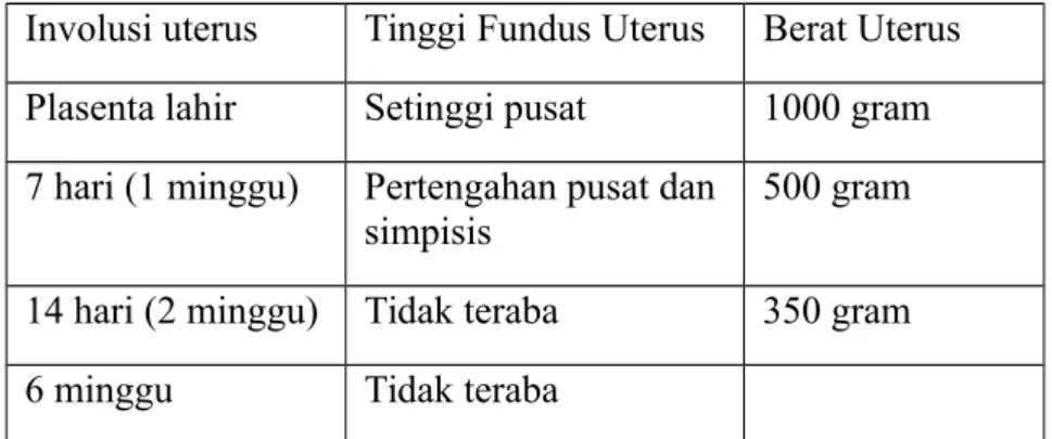 Tabel 13 Perubahan normal pada uterus selama masa nifas