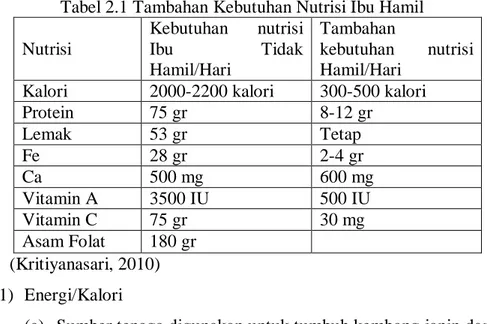 Tabel 2.1 Tambahan Kebutuhan Nutrisi Ibu Hamil  Nutrisi  Kebutuhan  nutrisi Ibu Tidak  Hamil/Hari  Tambahan kebutuhan  nutrisi Hamil/Hari 