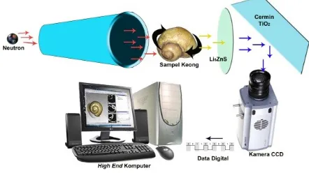 Gambar  1 Cara Kerja Tomografi Neutron