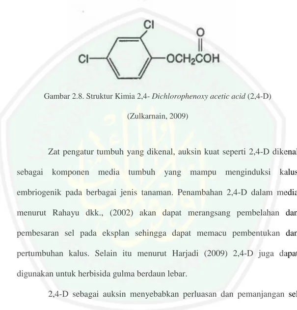 Gambar 2.8. Struktur Kimia 2,4- Dichlorophenoxy acetic acid (2,4-D)   (Zulkarnain, 2009)