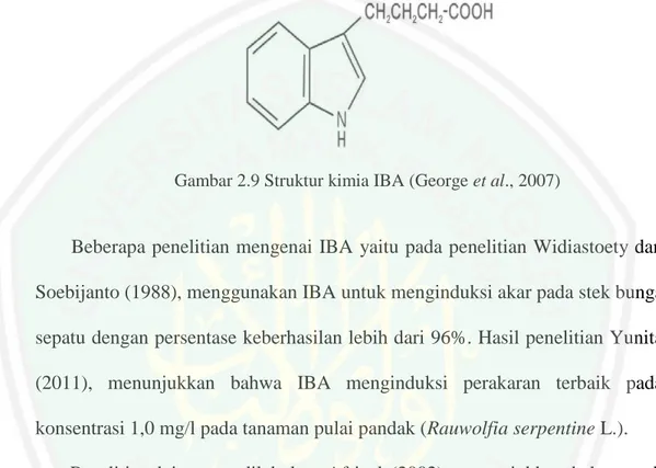 Gambar 2.9 Struktur kimia IBA (George et al., 2007) 