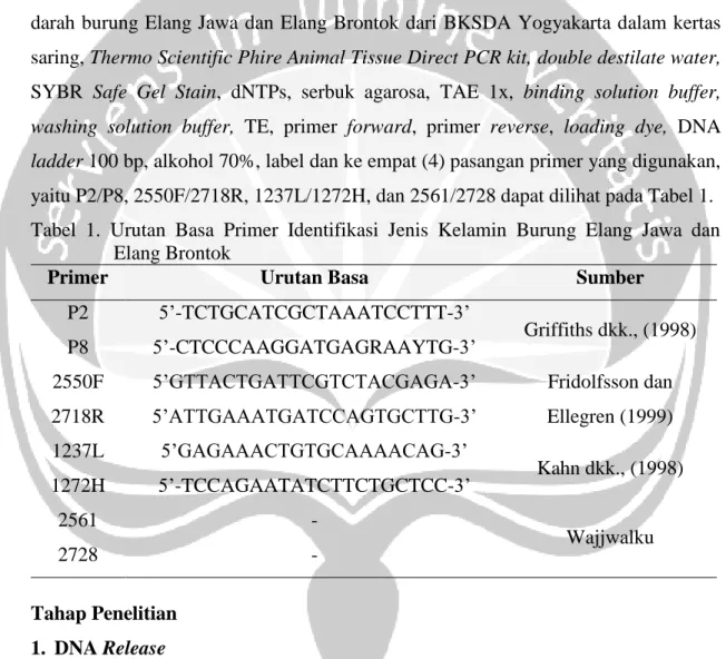Tabel  1.  Urutan  Basa  Primer  Identifikasi  Jenis  Kelamin  Burung  Elang  Jawa  dan  Elang Brontok  